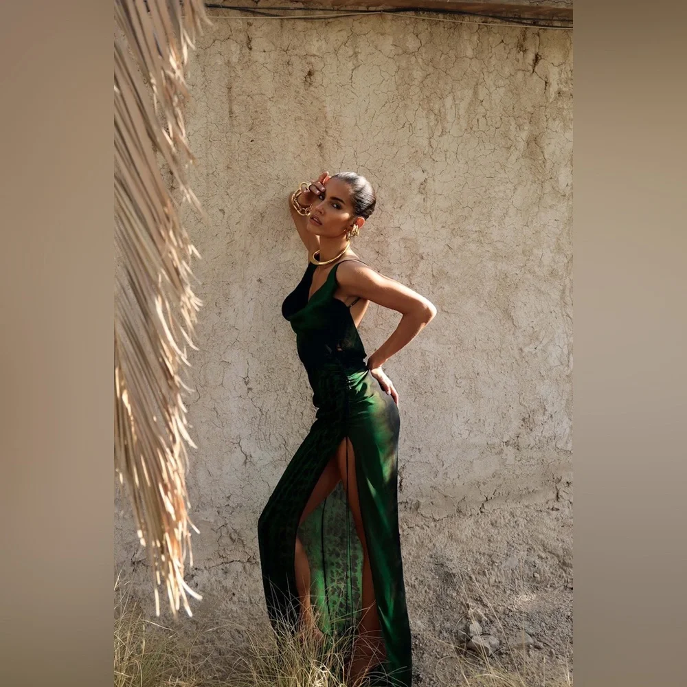 rat and boa brown dress Rat & Boa Isamaya Dress main image 0